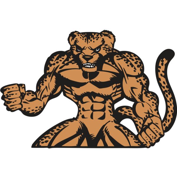 BAW CHEETAH 07 RC Thumbnail