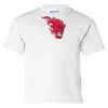 Ultra Cotton Youth T-Shirt Thumbnail