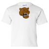 Ultra Cotton Youth T-Shirt Thumbnail