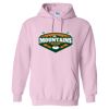 Heavy Blend Hooded Sweatshirt Thumbnail